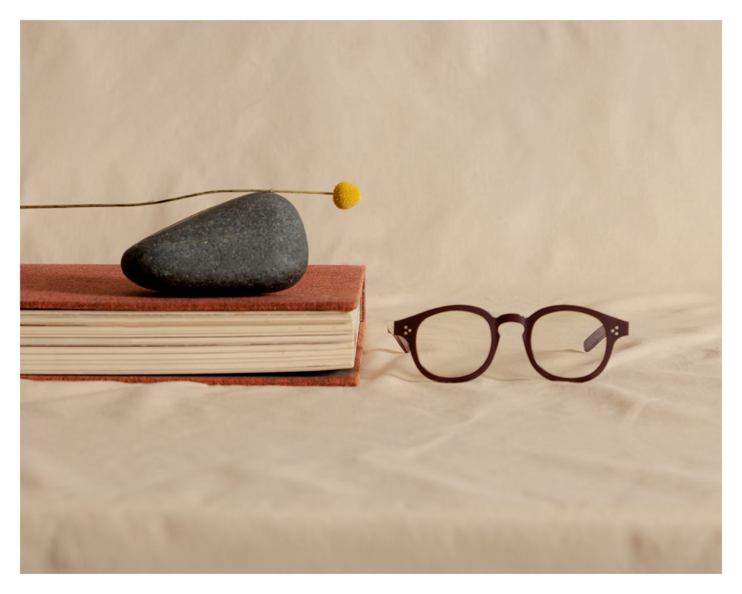 Genusee and Nena & Co collaboration still life